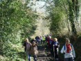/album/a05-mars-2015-rando-la-bazouge-des-alleux/a2015-03-05-rando-la-bazouge-des-alleux-59-800x600-jpg/